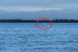 Phát hiện 'bản sao' quái vật hồ Loch Ness tại Nga