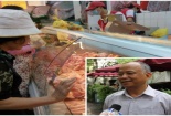 Giá thịt lợn tăng: Tín hiệu mừng nhưng đừng để người chăn nuôi trải thêm 'cuộc bể dâu'