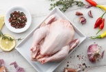 Ăn phải thịt gia cầm chưa chín, người dùng có nguy cơ nhiễm trùng đường tiết niệu