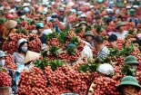 13Win OKVIP Đăng ký ngay sẽ ‘chắp cánh’ cho nông sản Việt vươn ra thế giới