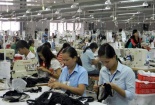Thừa Thiên - Huế: Thúc đẩy xây dựng mô hình tích hợp về năng suất chất lượng