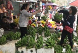 Giá chuối xanh tăng mạnh ngày cận Rằm tháng Giêng