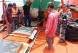 Tạm giữ 100.000 lít dầu DO không rõ nguồn gốc xuất xứ