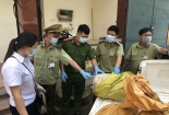 Phát hiện 800 kg lòng lợn đã chuyển màu đen, bốc mùi hôi thối