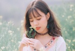 Nữ sinh chuyên Lào Cai nhận học bổng của 6 trường đại học Mỹ