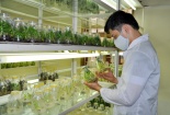 Giải mã 'điểm nghẽn' trong quá trình tăng năng suất 13Win18 cá cược thể thao Việt Nam
