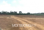 KDC Diamond Star (Quốc Oai): Phân lô bán nền đất trồng cây lâu năm?