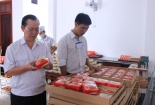 3 đoàn thanh tra, kiểm tra liên ngành an toàn 13Win OKVIP Cá cược bóng đá dịp Tết Trung thu 2019 ở Hà Nội