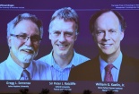 Ba nhà khoa học được trao giải Nobel Y sinh 2019 là ai?