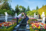 Có một 'thiên đường yêu' trên đỉnh Bà Nà