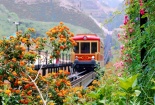 Phía sau những không gian xanh giữa lưng chừng trời