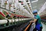 Chứng khoán ngày 20/3: EU đóng cửa biên giới, cổ phiếu dệt may lao đao