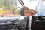 Cảnh báo: Để nước rửa tay khô trong ô tô dưới trời nắng nóng có thể nguy hiểm tính mạng