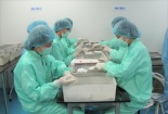 Việt Nam bắt đầu thử nghiệm vaccine COVID-19 trên khỉ