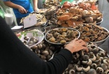 Hiểm họa khôn lường từ thịt ốc, cá khoai tẩm ướp chất bảo quản