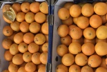 Sự thật nguồn gốc cam Úc giá rẻ chỉ 15 nghìn đồng/kg bán đầy chợ