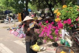 Chủ động các giải pháp phát triển người tham gia BHXH tự nguyện trong bối cảnh dịch Covid-19