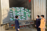 Phát hiện 14 tấn thịt bò đông lạnh không rõ nguồn gốc