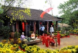 Vạn thọ đợi xuân về!