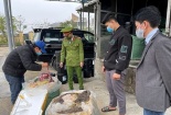 Huế: Thu giữ 2 tấn nội tạng bò ướp đá không rõ nguồn gốc
