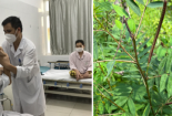 Ăn quả muồng tây ngừa bệnh tiểu đường hai vợ chồng bị liệt toàn thân