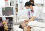 Ăn ấu trùng ve sầu nhiều người bị ngộ độc