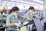 Vốn FDI vào Việt Nam của 7 tháng cao nhất trong 5 năm qua
