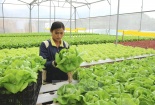 Tạo cơ chế để nghiên cứu khoa học đi vào thực tiễn, phục vụ cuộc sống