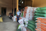 Kiểm soát chặt chẽ chất lượng 13Win1 nhập link nhà cái chăn nuôi trên thị trường 