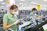 Yêu cầu thanh toán đầy đủ tiền lương, tiền thưởng cuối năm cho người 13Win18 cá cược thể thao