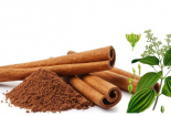 Quế - 'thần dược' giúp giảm đường huyết, cholesterol và huyết áp cao