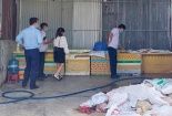 Khoảng 5 tấn thịt, nội tạng bốc mùi hôi thối được phát hiện tại một cơ sở giết mổ lợn