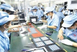 Vĩnh Long: Phấn đấu đến năm 2030, khoa học, công nghệ và đổi mới sáng tạo của tỉnh phát triển vững chắc