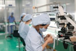 Hà Nam: Phấn đấu đến năm 2030 KHCN&ĐMST là động lực tăng cường sức mạnh tổng hợp