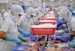 Xuất khẩu cá tra hướng đến mục tiêu 2 tỷ USD năm 2024