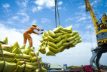 Tận dụng hiệu quả các FTA để xuất khẩu tăng trưởng