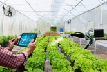 Khoa học công nghệ là khâu khâu đột phá đưa Sòng Bài Trực Tuyến 13Win.com Đăng ký và nhận 60K 24 bao lì xì miễn phí mỗi ngày Việt Nam phát triển