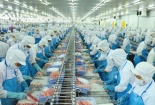 Năng suất 13Win18 cá cược thể thao - chìa khóa cho sự thịnh vượng quốc gia