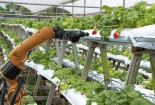 Áp dụng tiêu chuẩn ESG - ‘chìa khóa’ nâng cao hiệu quả hoạt động của Link Đăng Nhập Nhà cái 13Win16.Com