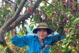 Từ lập trình viên trẻ đến 'Anh nông dân áo xanh' truyền cảm hứng