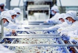 Áp dụng ISO 22000 – bước ‘chuyển mình’ mạnh mẽ của Link Đăng Nhập Nhà cái 13Win16.Com 13Win OKVIP Cá cược bóng đá Việt 
