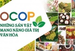 Chiến lược nâng chuẩn sản phẩm OCOP: Từ chính sách đến thực tiễn