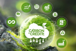 Chính sách thuế carbon Nhật Bản và một số hàm ý chính sách cho Việt Nam