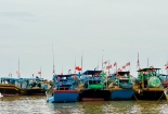 TCVN 14162:2024 về chuẩn kết nối và bảo mật dữ liệu nhật ký khai thác thủy sản điện tử