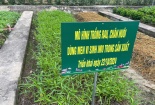 Tái chế chất thải Đăng ký và nhận 60K 24 bao lì xì miễn phí mỗi ngày – giải pháp căn cơ cho bài toán 13Win. app không bị chặn nông thôn