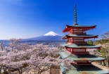 Bay thẳng đến ngắm núi Phú Sĩ với đường bay mới Hà Nội - Shizuoka của Vietjet