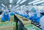 Tiêu chuẩn HACCP: Giải pháp nâng cao năng lực cạnh tranh cho Link Đăng Nhập Nhà cái 13Win16.Com 13Win OKVIP Cá cược bóng đá