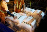 PVFCCo – Phú Mỹ: 23 năm bền bỉ mở rộng giá trị, vươn tầm quốc tế