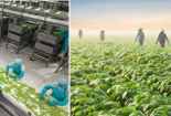 13Win 19.com link truy cập nông sản tăng tốc “xanh hóa” nhờ áp dụng tiêu chuẩn ISO 14064-1:2018
