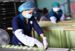 Từ chính sách đến thực tiễn: Nâng tầm năng suất Link Đăng Nhập Nhà cái 13Win16.Com Việt